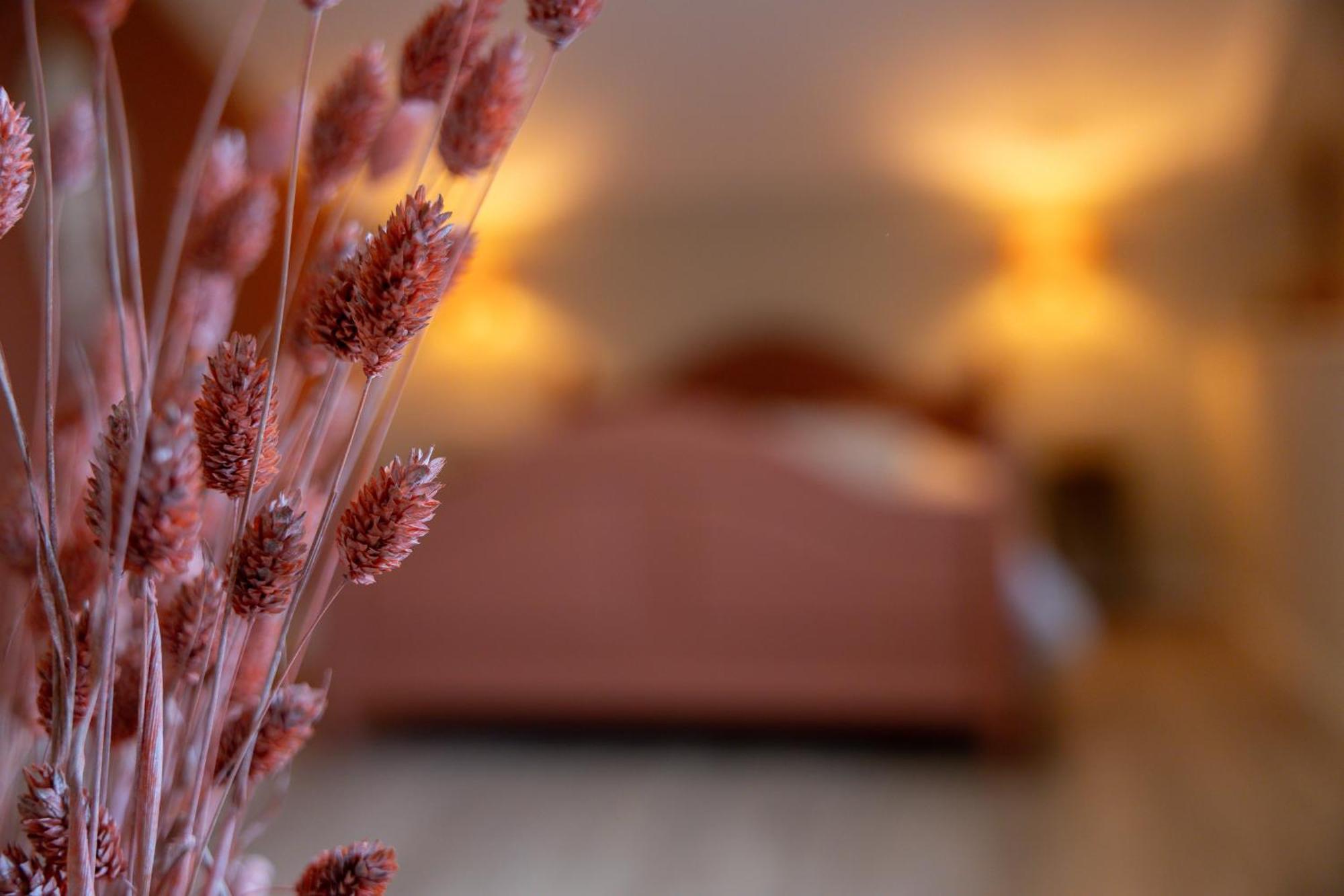 Bed & Breakfast Iets Zeeuws